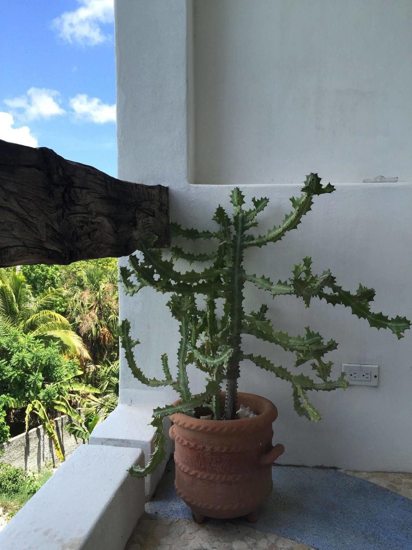 Mi Casa En Cozumel 호텔 외부 사진