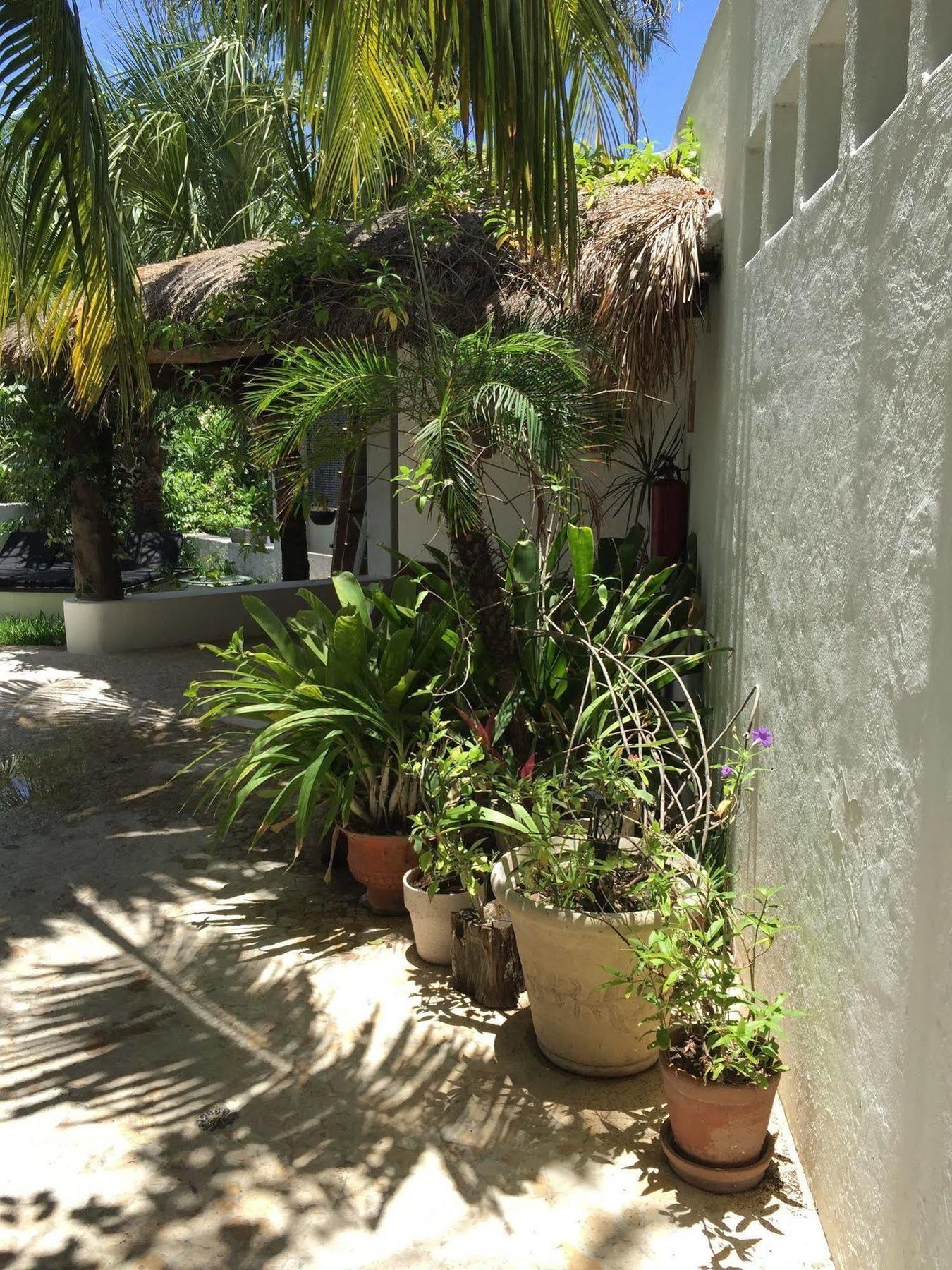 Mi Casa En Cozumel 호텔 외부 사진